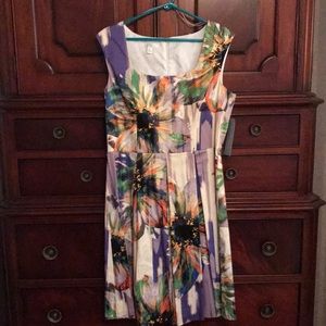 NWT Spring/Summer Cotton Dress